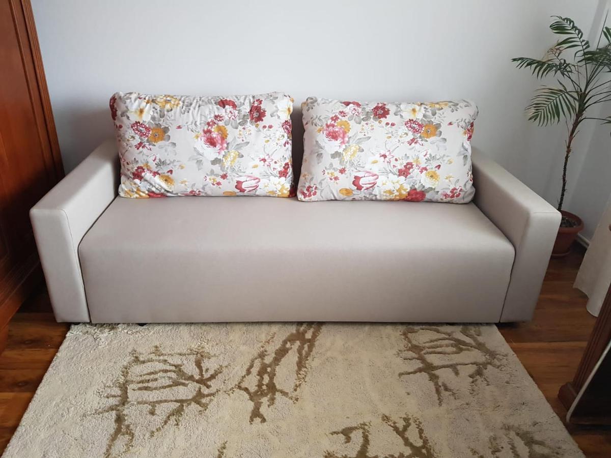 Garsoniera Mihaela Apartment เปโตรชานิ ภายนอก รูปภาพ