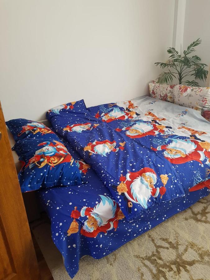 Garsoniera Mihaela Apartment เปโตรชานิ ภายนอก รูปภาพ